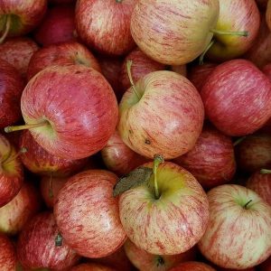 Bulk Juicing Apples