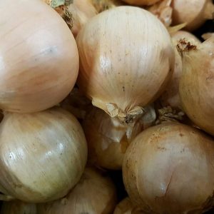 Bulk Onions