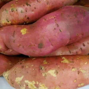 Bulk Sweet Potato