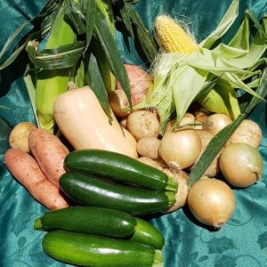 Various vegetables on a table